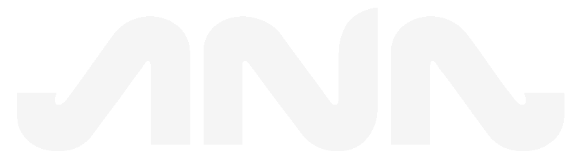 ANA Partners